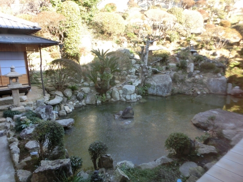 千光寺定点観測・中庭の池も氷が張りました