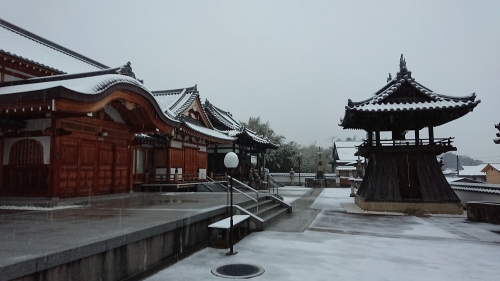 千光寺定点観測・５年ぶりの積雪