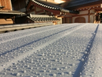 千光寺定点観測・雨粒が凍って…