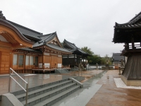 千光寺定点観測・久々の雨