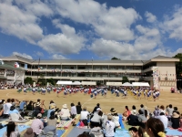 長男坊の運動会