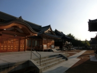 千光寺定点観測・雨上がりの朝