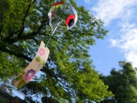 千光寺定点観測・今日は芒種