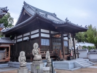 千光寺定点観測・今日は夏至