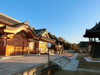 千光寺定点観測・寒波襲来中