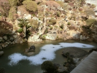 千光寺定点観測・池の上に雪が…