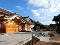 千光寺定点観測・今日は啓蟄