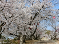 絶景かな絶景かな