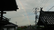 やっと梅雨明け